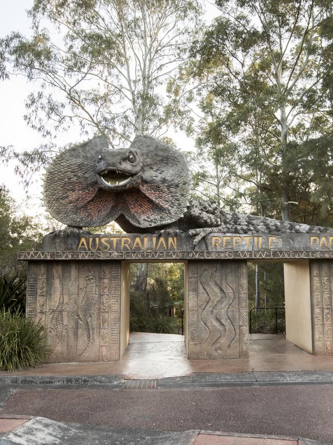 Qantas’ new planes will bear the names of native wildlife, such as the frilled neck lizard. Picture: Ken Leanfore/Destination NSW