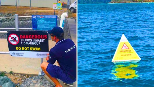 The state government stepped in and introduced a ‘no swim’ zone at CID Harbour after three shark attacks.