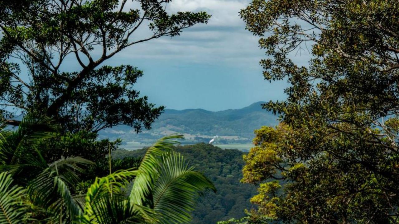 Views from Efron’s lush acreage.