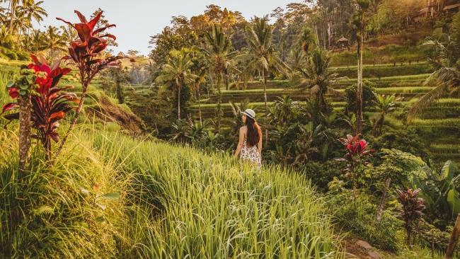 Explore Ubud and its Tegalalang Rice TerracesBali-philes will be rolling their eyes at the fact we’ve included Ubud but first timers to the island may well be tempted to only restrict their activities to the coast. This is a mistake.Ubud is also a great base for exploring the Bali Butterfly Park and Unesco World Heritage Site the Taman Ayum Temple.Around 90 minutes from Kuta or Seminyak, this town is so much of an attraction that many regular visitors to Bali only come here for their entire stay. All those incredible images of rice paddies and lush cliffs? Chances are they’re shot here. There are restaurants, spas and resorts galore and if you are only going to do one day trip in Bali, this should be it as it is an entirely different experience to the beach vibe. Private tours can help personalise your experience and take you to all the highlights, from the Tegalalang Rice Terraces to the Tegenungan Waterfall.Book here 