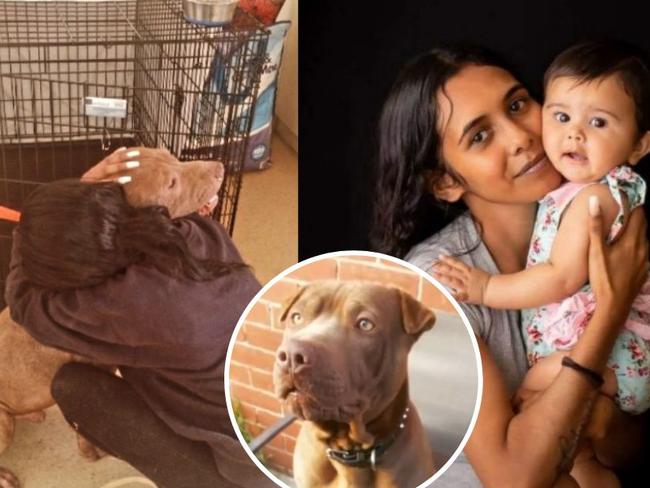 The Warrior family has said goodbye to the late Charlene's beloved pet dog after a violent attack on Tuesday night. Pictures: Supplied