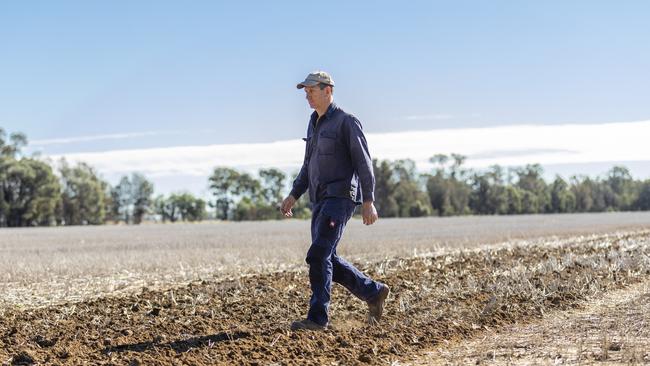 Lawrence Springborg is this week’s cover story. Picture: Mark Cranitch