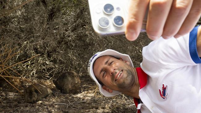 Tennis superstar Novak Djokovic poses with quokkas at Rottnest Island near Perth. Picture: NewsWire / Matt Jelonek