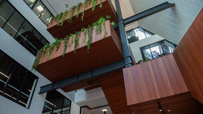 First look at the new Charles Darwin University Campus in the Darwin CBD, also known as the Danala Education and Community Precinct. Picture: Pema Tamang Pakhrin