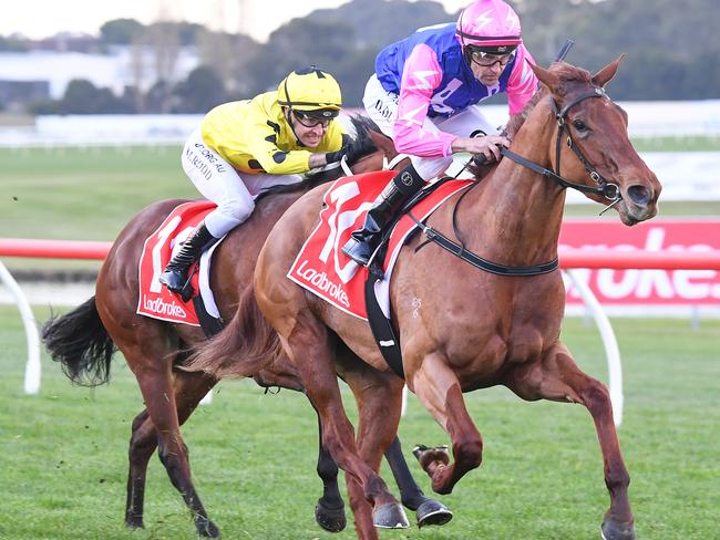 Jockey Dwayne Dunn rides Bless Her to victory in race seven.