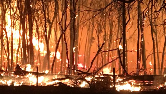 Vegetation, supercharged by three years of La Niña rain, means NSW firefighters are facing a particularly tough bushfire season. Picture: Rob Blomfield.