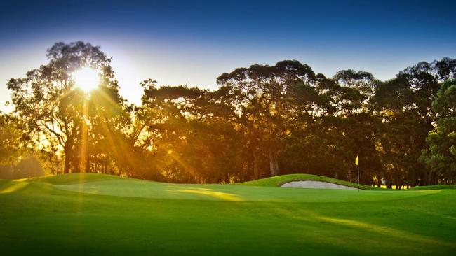 Bankstown Golf Club greens. Picture: Facebook