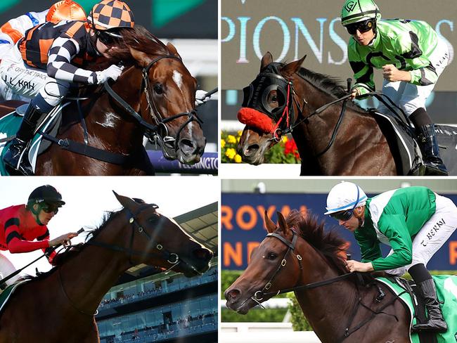 Group 1 stars (clockwise, from top left) Southport Tycoon, Pennyweka, Manaal and Just Fine will all trial at Warwick Farm on Friday.