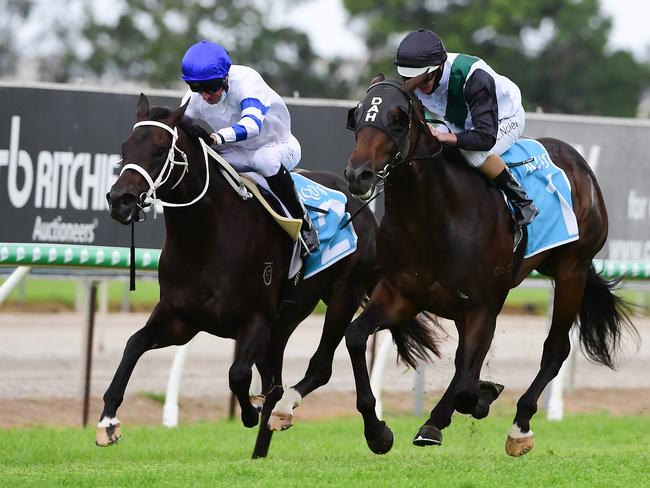 Two-year-old Finance Tycoon wins at the Gold Coast on Saturday. Credit: Grant Peters, Trackside Photography