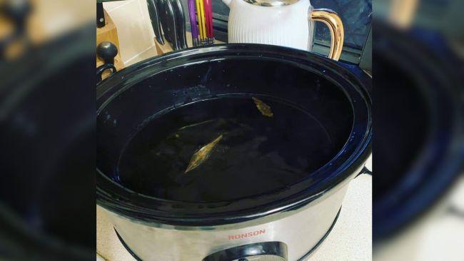 The mum turned the slow cooker on only to discover she forgot to put the meat in. Image: Facebook / Slow Cooker Recipe & Tips