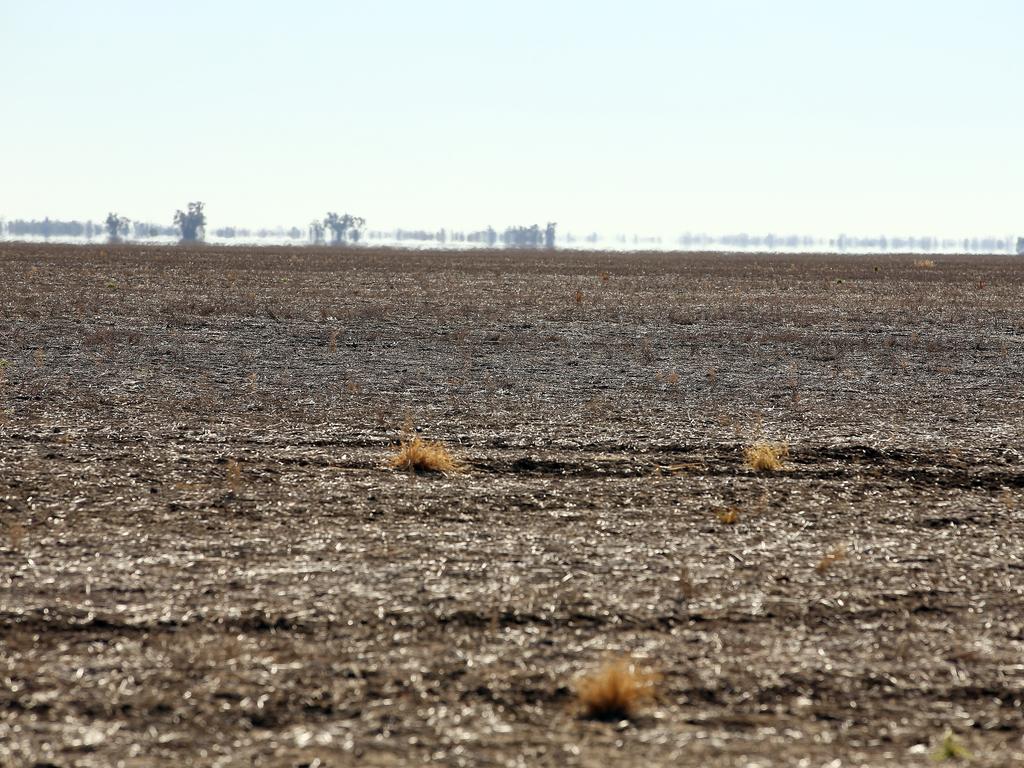 Paddocks near Walgett. Picture: Sam Ruttyn