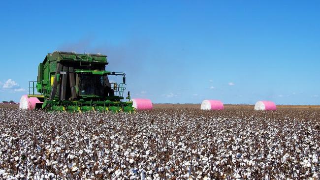 A Narrabri cotton farm plus almost 2300ML of water entitlements has sold for $23.65 million through auction.