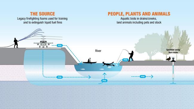 How PFAS moves in the environment. Picture: Australian Defence