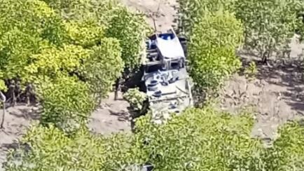 A boat hidden in the mangroves which was spotted by the rangers.