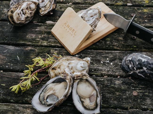 Coffin Bay oysters are selling for $22.99 a dozen.