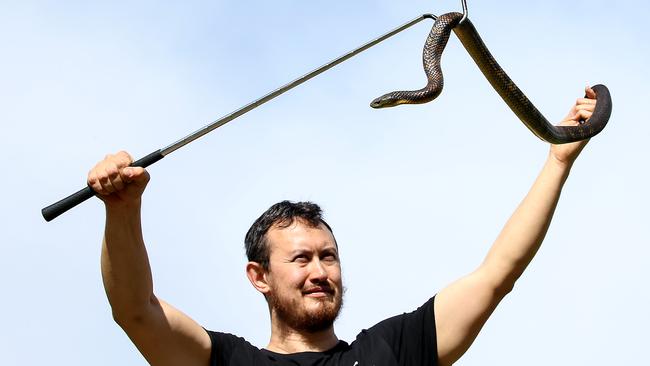 Snake handler Mark Pelley is being inundated with calls for help. Picture: Ian Currie