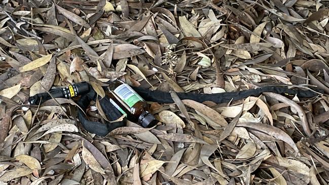 An empty prescription bottle lay in the bushes. Picture: Himangi Singh