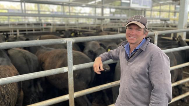 Marshall Yencken of Yencken Pastoral at Kooyong sold 56 weaner steers to a top of $2340 or 694c/kg at the Yea store sale last week.