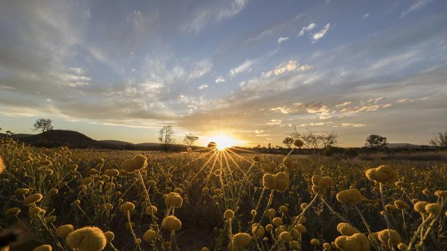 The West MacDonnell Ranges, home of the Larapinta Trail. Picture: Tourism NT/Sean Scott