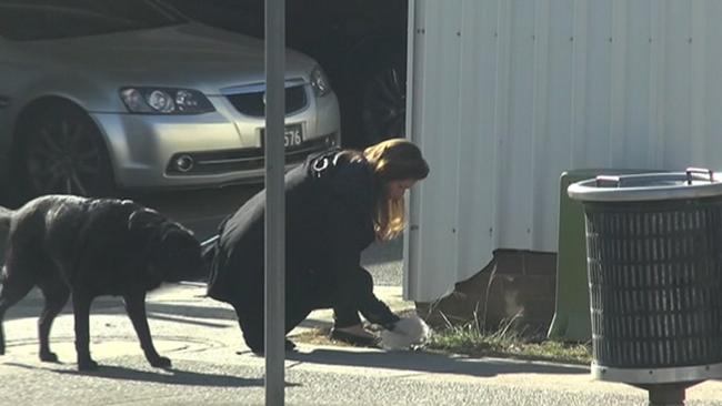 Screengrab of footage showing one of Emma Husar’s staff taking the MP’s dog for a walk. Picture: Seven News