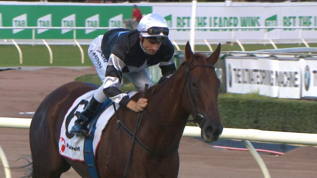 Sky Racing Update 12/5/2017