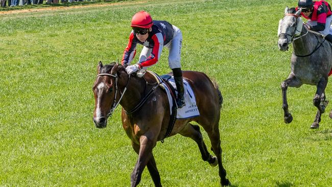 Air Assault has a strong record over the Cranbourne Cup distance. Picture: Makoto Kaneko