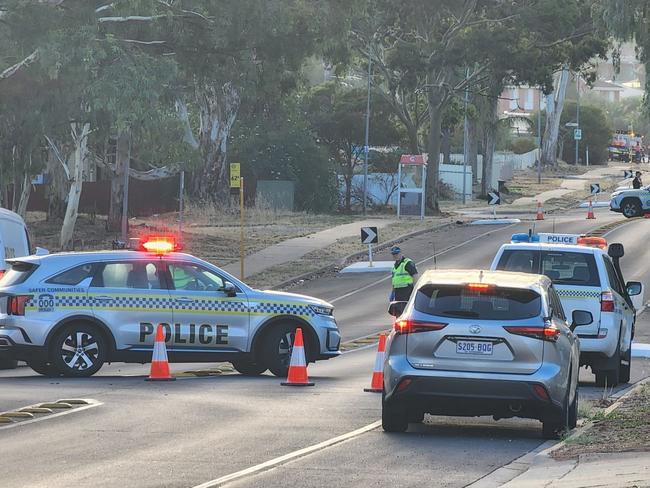 Police at the scene of the hit-run in Elizabeth East.