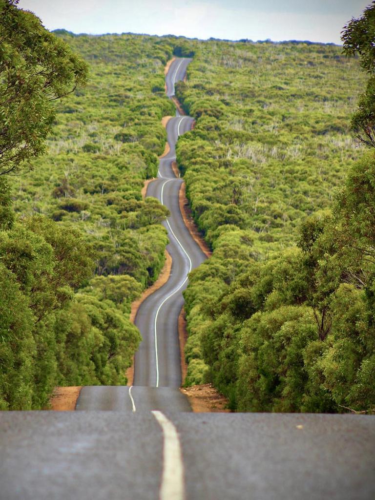 A winding road through Flinders Chase National Park, taken before the fire. Picture: Instagram/ @ajcx89