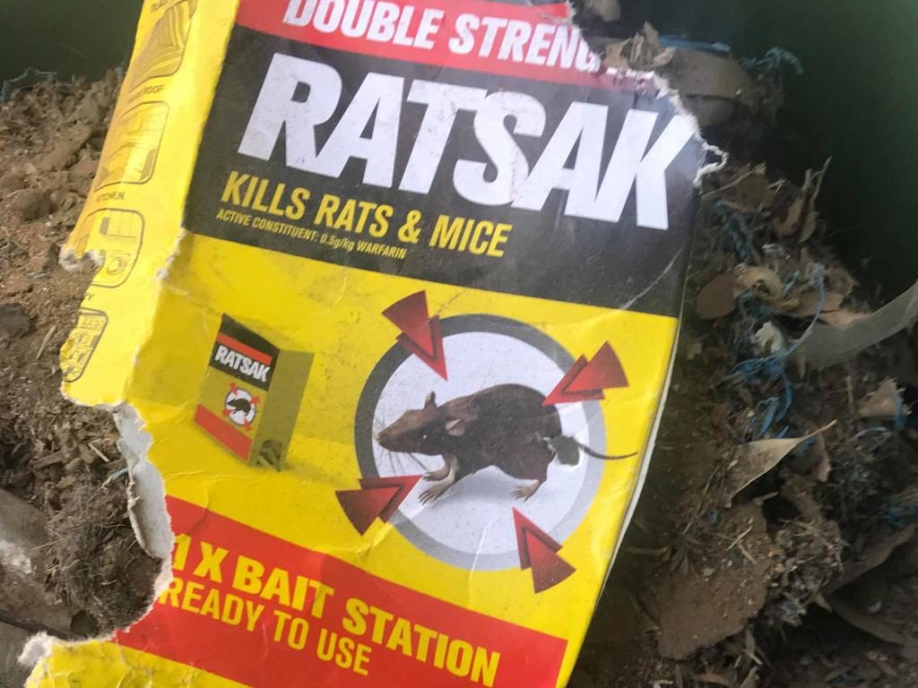 Strychnine is a common ingredient in rat poison.
