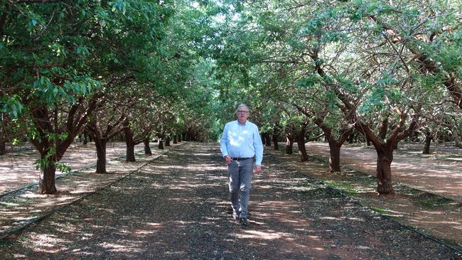 Select Harvests chief executive Paul Thompson will step down in June next year after almost 11 years at the ASX-listed almond company.