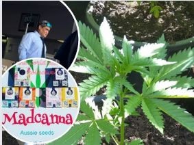 Samuel Joseph Topia was previously busted over cannabis which he advertised on Instagram.