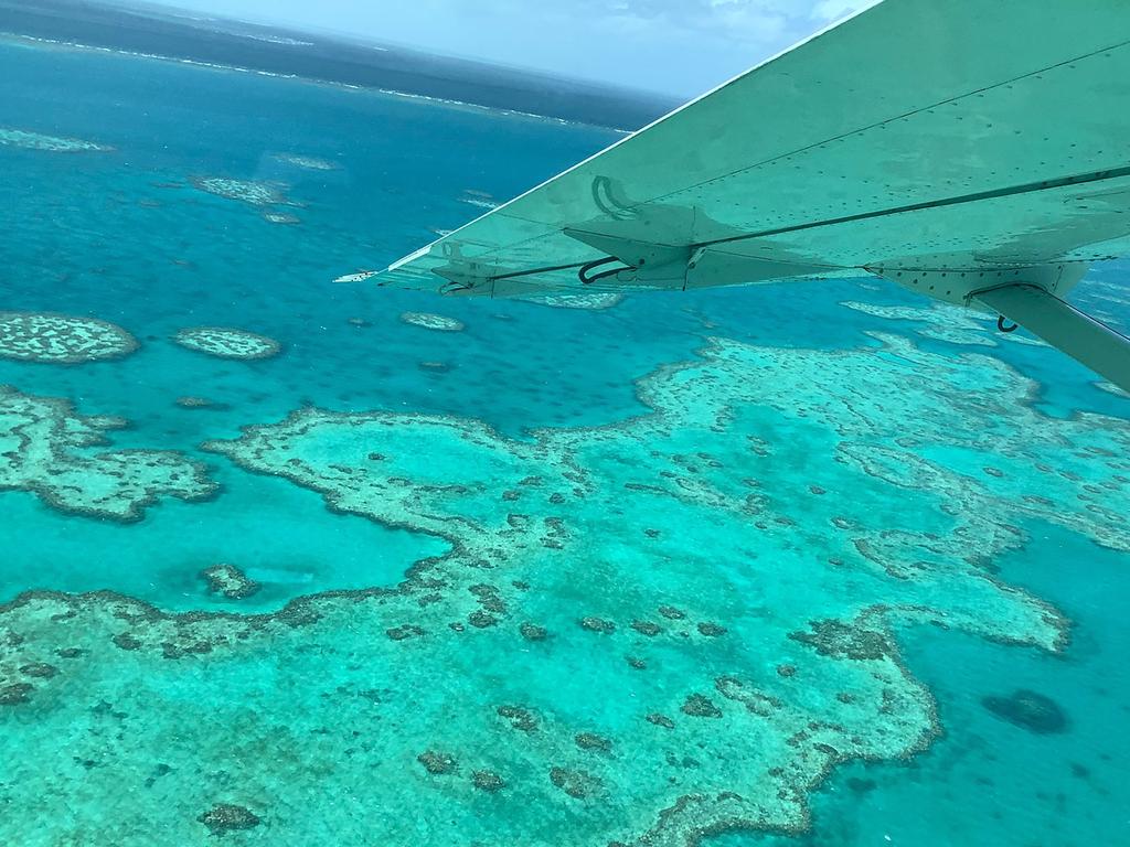 The government is funding projects to help restore the reef. Picture: James Cook University