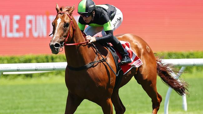 Accredited could bypass the Takeover Target Stakes if the track is too wet. Picture: Getty Images