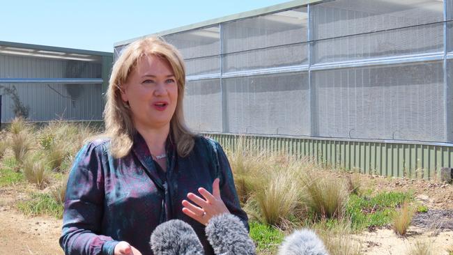 Environment minister Madeleine Ogilvie speaks to the media at Seven Mile Beach on Wednesday, December 18, 2024.