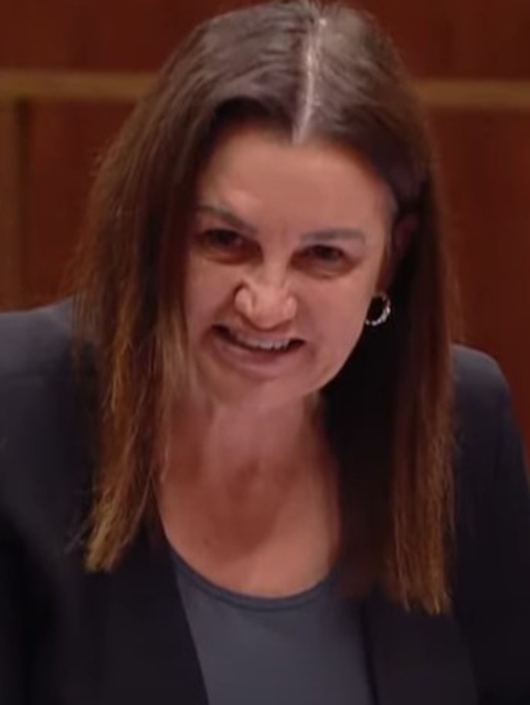 Jacqui Lambie has attacked the election donations Bill, saying she wouldn't be in the Senate without the support of Clive Palmer. Picture: Supplied