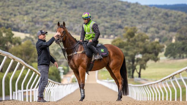 Trainer Liam Howley at Macedon Lodge where he used to be Lloyd Williams private trainer. Picture: Jason Edwards