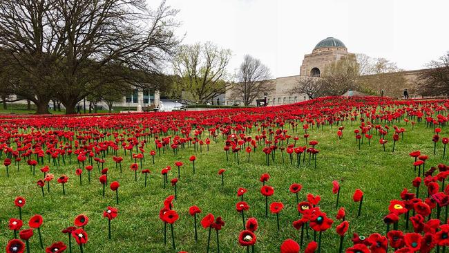 62,000 poppies were made to represent an Australian life lost in World War 1 – Catherine Sedgwick made 50 of the poppies.