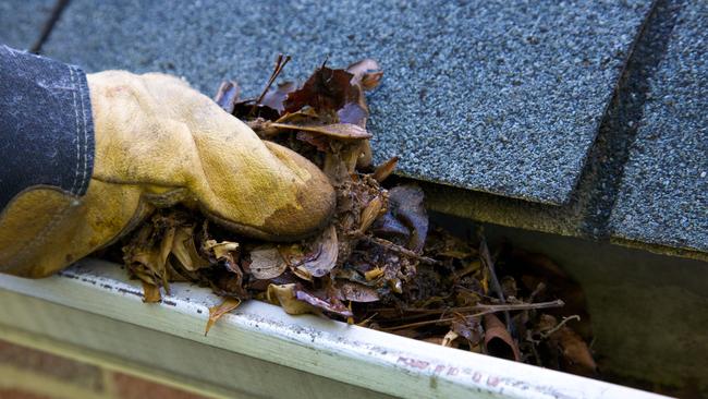 Cleaning gutters can be a hazardous job.