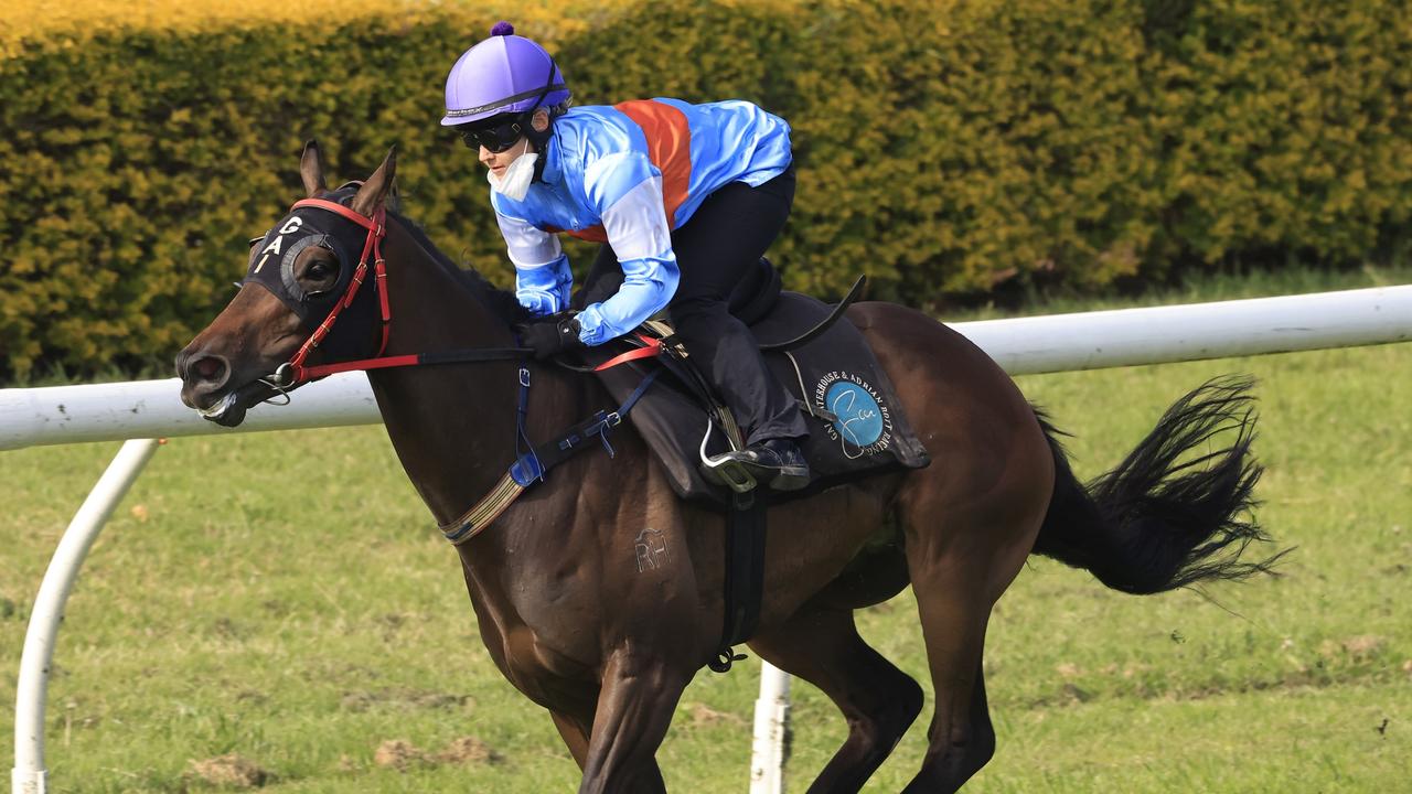 Riodini has been specifically set for The Gong third-up and is pushing for favouritism. Picture: Getty Images