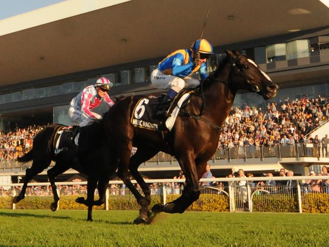 Music Magnate takes out the Doomben 10,000. Picture: Grant Peters, Trackside Photography