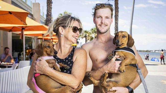 Simone with her son Liam Darcy and dogs Slinky and Tinkerbell. Picture: Nicole Cleary