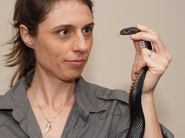 Dr Christina Zdenek handling a snake. Picture: Nick Hamilton.