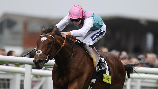 English champion Frankel. Picture: Getty Images