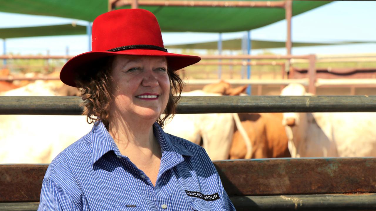 Gina Rinehart has sold a swath of stations including parts of S. Kidman ...