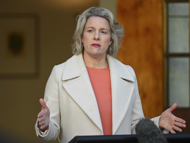 Minister for Housing and Homelessness, Clare O'Neil hold a press conference at Parliament House in Canberra. Picture: Martin Ollman