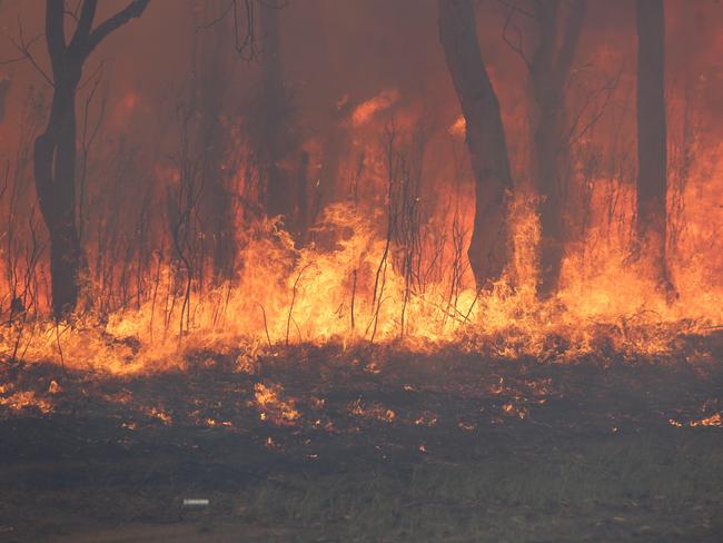 Londonderry bushfire: Homes under threat, residents told to take cover ...