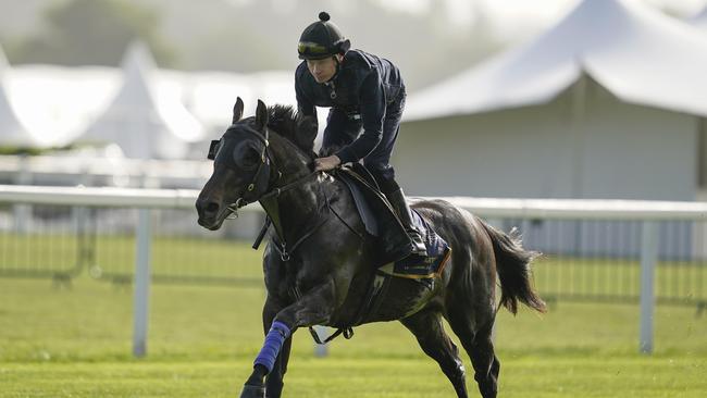 Artorius galloping at Royal Ascot before last year’s Platinum Jubilee where he finished third. Picture: Getty Images