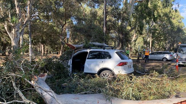 A tree limb fell on a parked car on South Terrace, Adelaide, on 15 December 2020. Picture: Caleb Bond