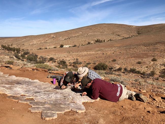 ESCAPE: Sarah Nicholson Australian Air Adventures fossil hunting safariTourists and students examine the fossils at Nilpena Station in South Australia under the guidance of University of California fossil's expert Mary Droser and her son Ian.Picture: Sarah Nicholson