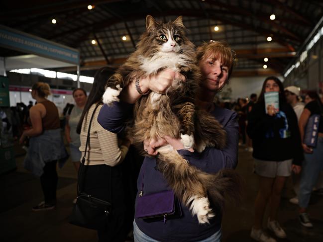 Tracy Camp with her Bushkenheim Norwegian Fores Cat Hero (4) at the Sydney Dog Lovers and Cat Lovers Festival held in Sydney Showgrounds at Sydney Olympic Park. Picture: Adam Yip